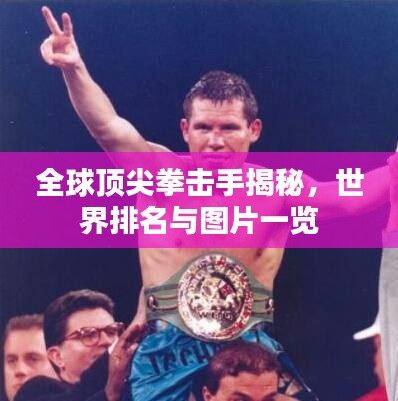 全球顶尖拳击手揭秘，世界排名与图片一览