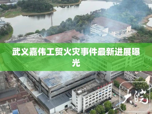 武义嘉伟工贸火灾事件最新进展曝光