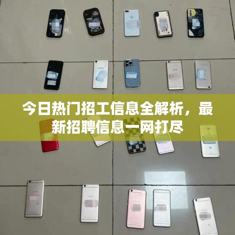 今日热门招工信息全解析，最新招聘信息一网打尽