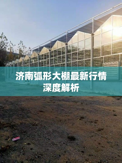 济南弧形大棚最新行情深度解析