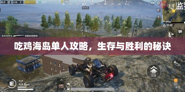 吃鸡海岛单人攻略，生存与胜利的秘诀