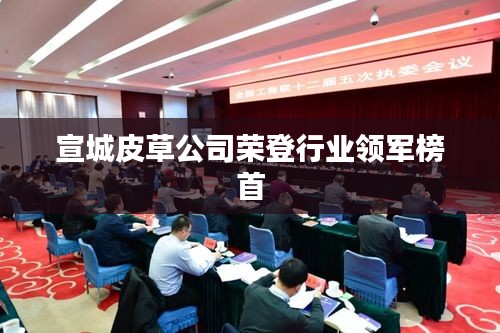 宣城皮草公司荣登行业领军榜首
