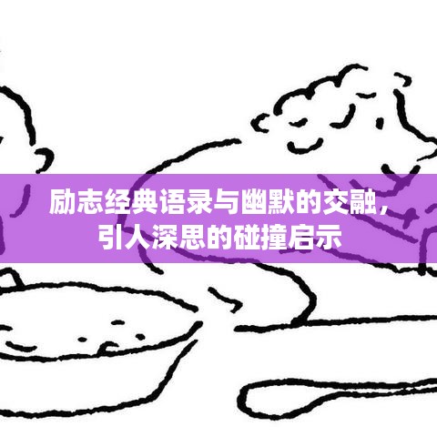 励志经典语录与幽默的交融，引人深思的碰撞启示