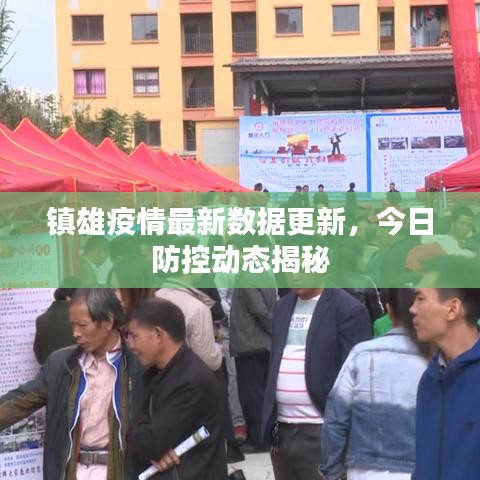 镇雄疫情最新数据更新，今日防控动态揭秘