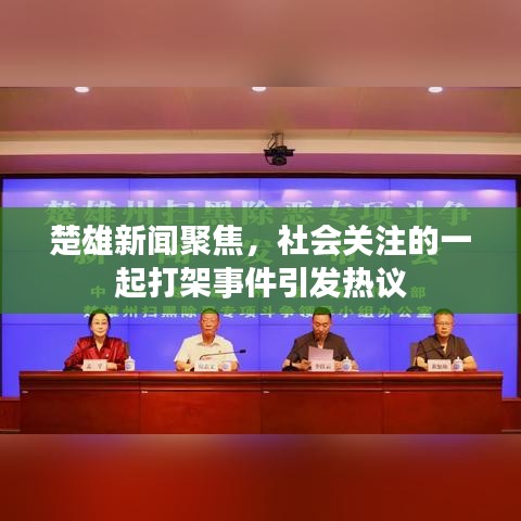 楚雄新闻聚焦，社会关注的一起打架事件引发热议