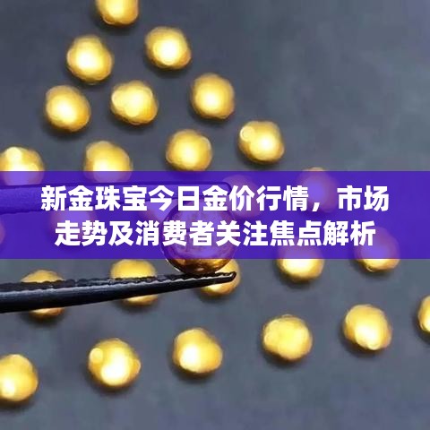 新金珠宝今日金价行情，市场走势及消费者关注焦点解析