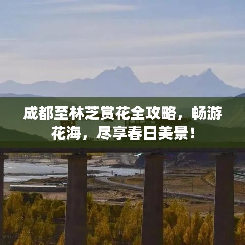 成都至林芝赏花全攻略，畅游花海，尽享春日美景！