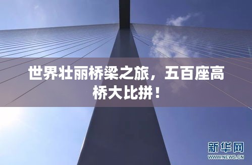 世界壮丽桥梁之旅，五百座高桥大比拼！