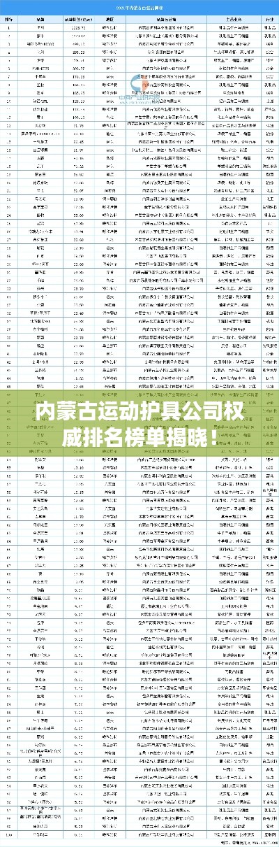 内蒙古运动护具公司权威排名榜单揭晓！