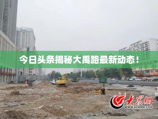 今日头条揭秘大禹路最新动态！