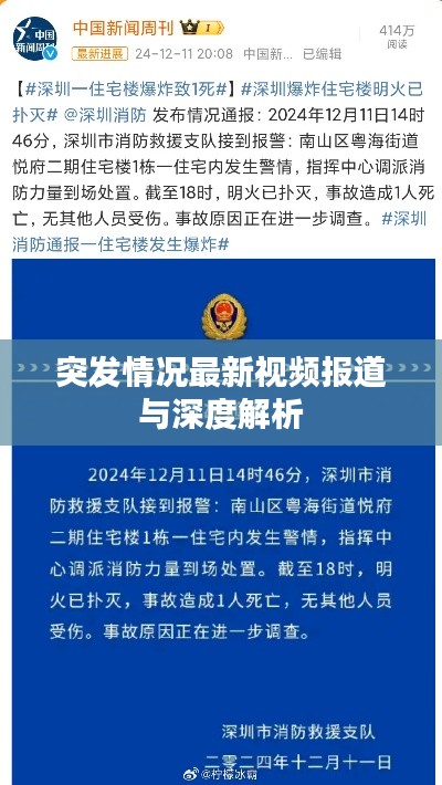 突发情况最新视频报道与深度解析