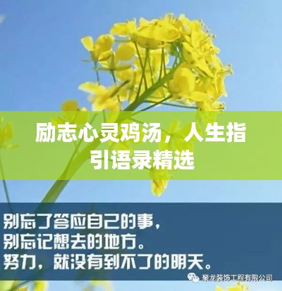 励志心灵鸡汤，人生指引语录精选