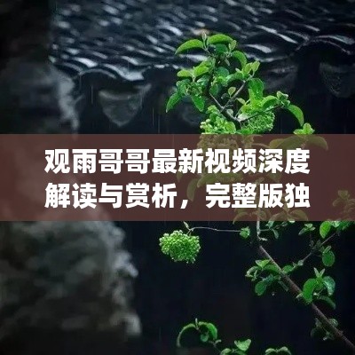 观雨哥哥最新视频深度解读与赏析，完整版独家呈现！