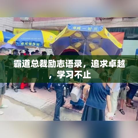 霸道总裁励志语录，追求卓越，学习不止