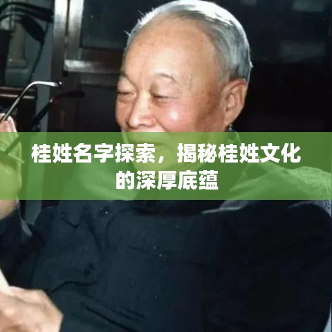 桂姓名字探索，揭秘桂姓文化的深厚底蕴