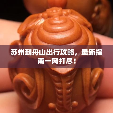 苏州到舟山出行攻略，最新指南一网打尽！