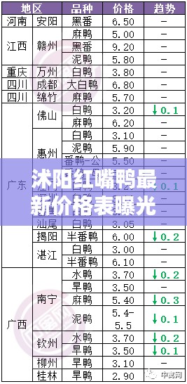 沭阳红嘴鸭最新价格表曝光！