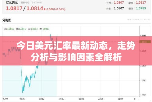 今日美元汇率最新动态，走势分析与影响因素全解析