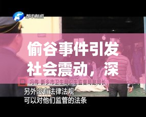 偷谷事件引发社会震动，深度新闻报道揭秘事件内幕