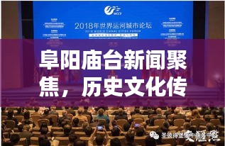 阜阳庙台新闻聚焦，历史文化传承的璀璨舞台
