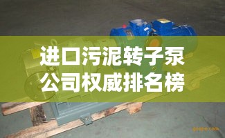 进口污泥转子泵公司权威排名榜单揭晓！