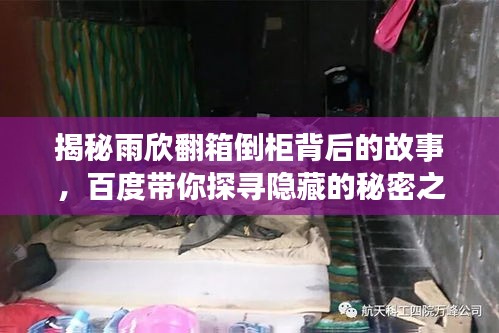 揭秘雨欣翻箱倒柜背后的故事，百度带你探寻隐藏的秘密之旅