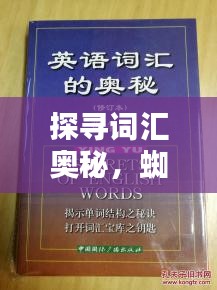 探寻词汇奥秘，蜘蛛织网背后的词组秘密，百度来解答！