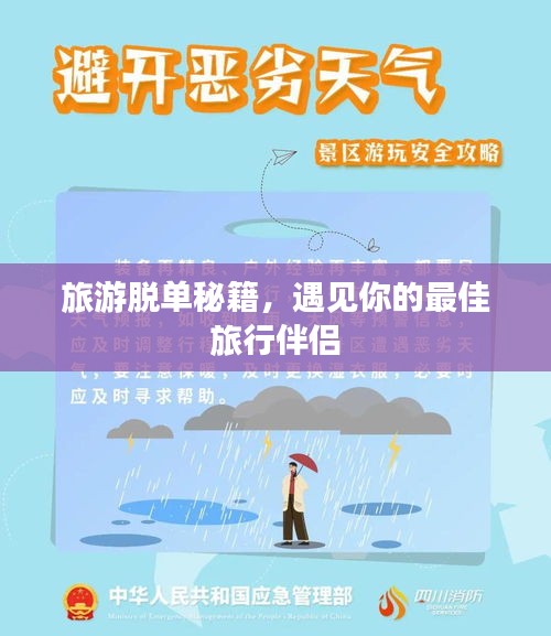 旅游脱单秘籍，遇见你的最佳旅行伴侣
