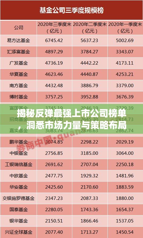 揭秘反弹最强上市公司榜单，洞悉市场力量与策略布局