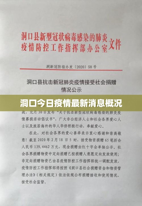 洞口今日疫情最新消息概况