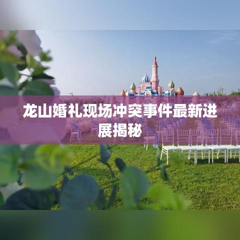 龙山婚礼现场冲突事件最新进展揭秘