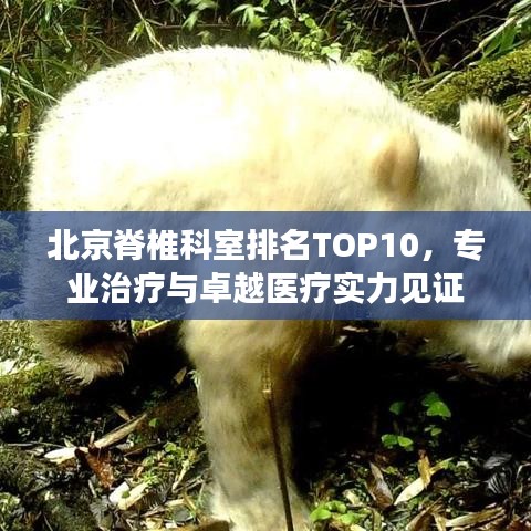 北京脊椎科室排名TOP10，专业治疗与卓越医疗实力见证