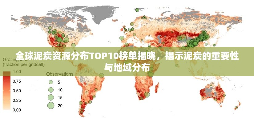全球泥炭资源分布TOP10榜单揭晓，揭示泥炭的重要性与地域分布