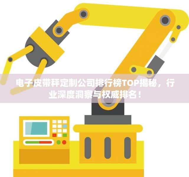 电子皮带秤定制公司排行榜TOP揭秘，行业深度洞察与权威排名！