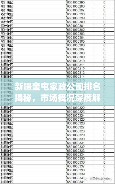 新疆奎屯家政公司排名揭秘，市场概况深度解读