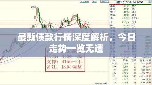最新债款行情深度解析，今日走势一览无遗