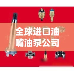 全球进口油嘴油泵公司排名大揭秘！