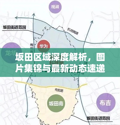坂田区域深度解析，图片集锦与最新动态速递