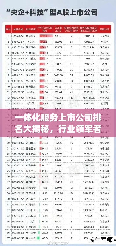 一体化服务上市公司排名大揭秘，行业领军者榜单重磅出炉！