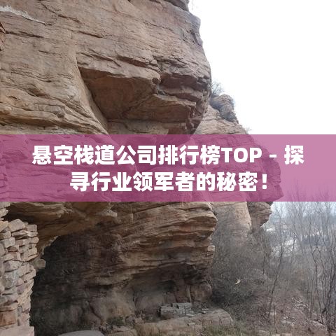 悬空栈道公司排行榜TOP - 探寻行业领军者的秘密！