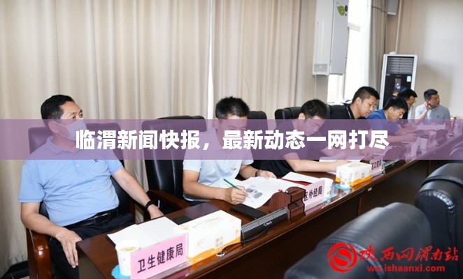 临渭新闻快报，最新动态一网打尽