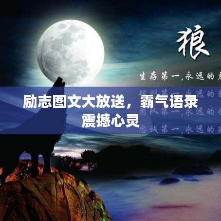 励志图文大放送，霸气语录震撼心灵