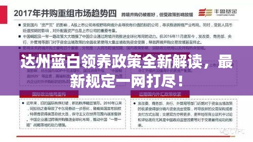 达州蓝白领养政策全新解读，最新规定一网打尽！