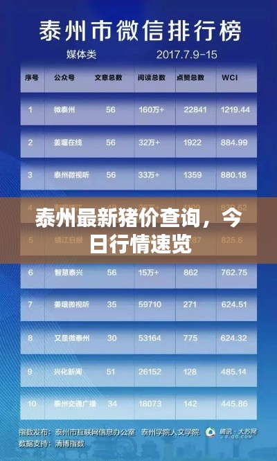 泰州最新猪价查询，今日行情速览