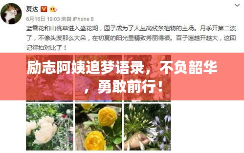 励志阿姨追梦语录，不负韶华，勇敢前行！