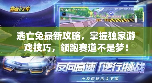 逃亡兔最新攻略，掌握独家游戏技巧，领跑赛道不是梦！