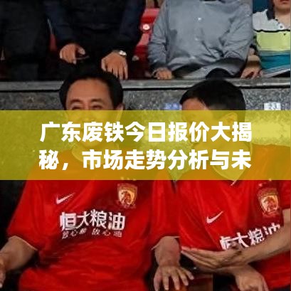 广东废铁今日报价大揭秘，市场走势分析与未来预测