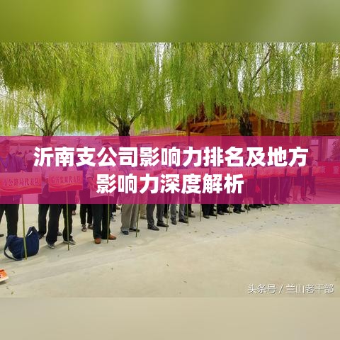 沂南支公司影响力排名及地方影响力深度解析
