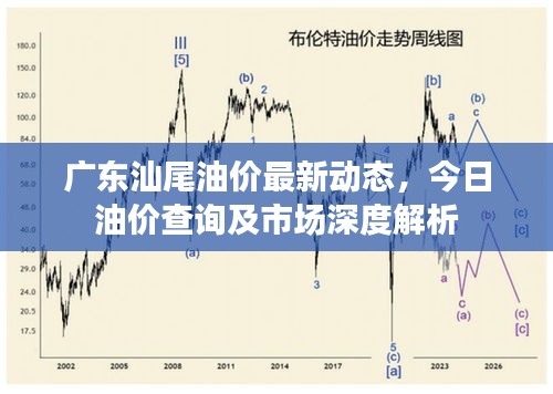 广东汕尾油价最新动态，今日油价查询及市场深度解析