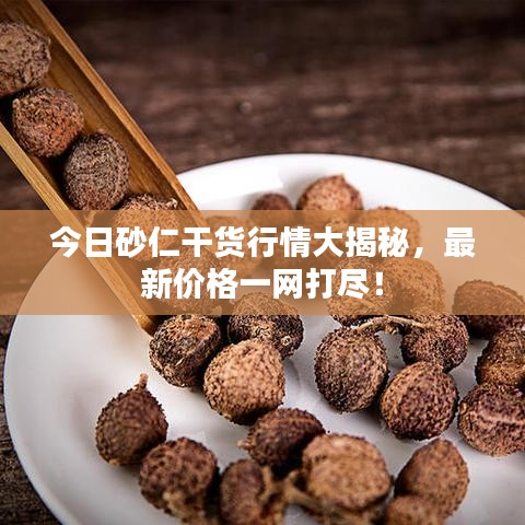 今日砂仁干货行情大揭秘，最新价格一网打尽！